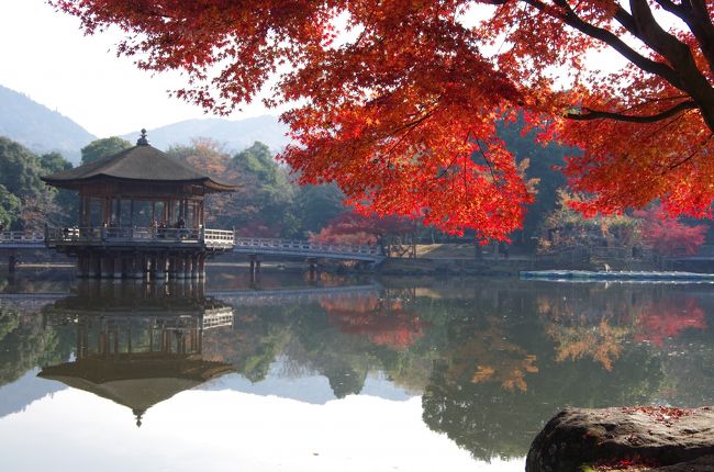 浮御堂と赤い紅葉。