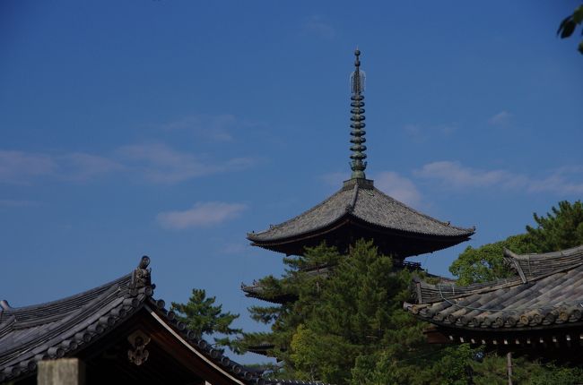 この日はいい天気でした。