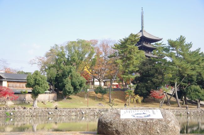 猿沢池。ここでならコミュのメンバーと合流しました。3周年記念オフ会です。<br />ここからは団体行動。<br />