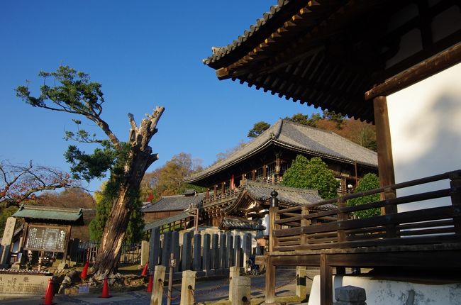 二月堂の夕陽を見学に。。。