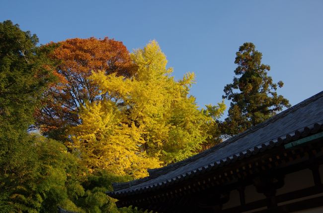 夕陽まですこし時間が早かったので、