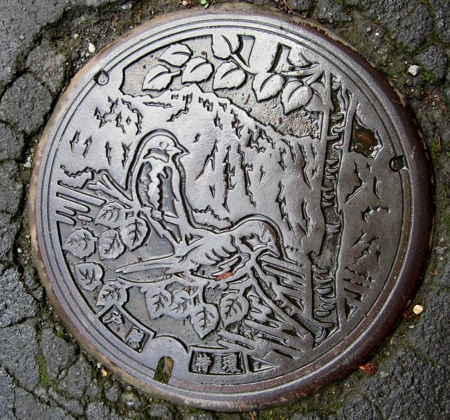 長野戸隠：この鳥なんの鳥？