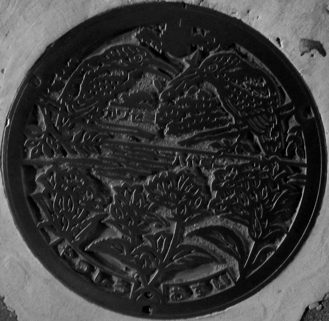 熊本：かわせみ