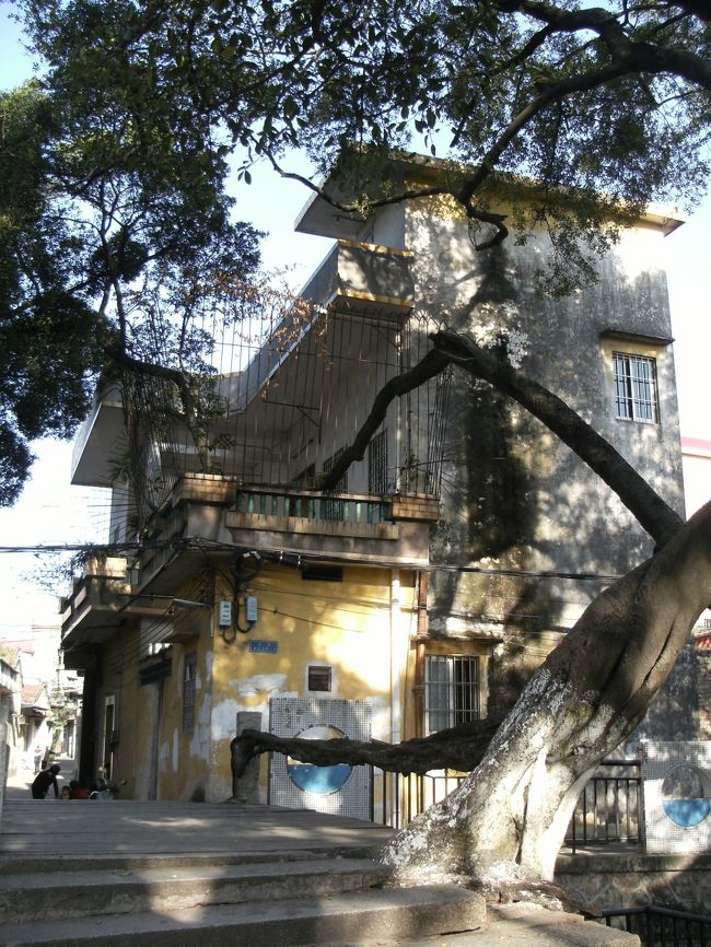 ガジュマルの気根は橋の骨組みや欄干、橋脚の一部となっている。<br /><br />そして枝の１本は橋の横に建っている民家の２Ｆのベランダを突き抜け更に上へと伸びている。<br /><br />そのうちもう１本高い位置にある枝も隣の家を巻き込みそうな勢いだ。<br /><br />生命力を感じるなぁ...