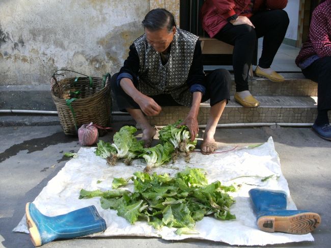 井戸端会議中でもひとりの婆さんは黙々と野菜を手入れしてる。<br /><br />このレタスに似た野菜の名前は 「生菜 / サンチョイ」 と言うそうだ。<br /><br />オレは 「これ日本にもあるよ、日本語はレタス」 て言うと、みんな 「レタシュ、レタシュ」 と言って喜んでる...<br /><br />平和だあ