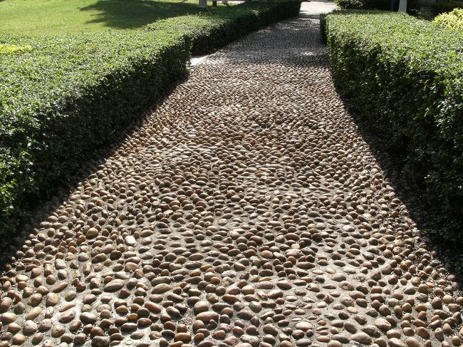 こういう凸凹な石段の道って足裏のツボを刺激して体にいいんだよな...<br /><br />なんて思い歩いてみたら 昨日捻挫した足首には全然良くないことがわかった。<br /><br />普通歩く前に気付くわな。