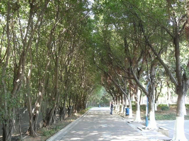 その後は園内の ” 平らな道 ” をのんびり歩く。