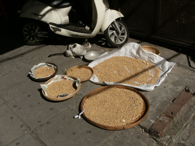 昼めしの前に川の方へ行ってみる。<br /><br />途中 道端に置かれた大豆を猫が微動だにせず見張りをしてた。