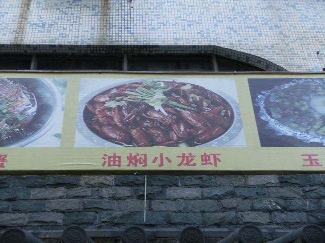 う〜ん　ザリガニはちょっと...