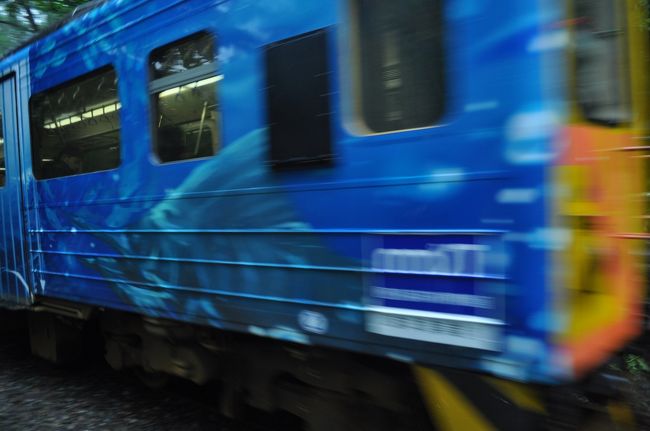 　ちょうど列車が通り過ぎました。