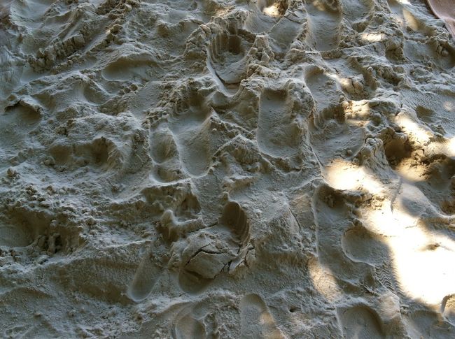 ステーション1周辺です。ここの砂がもっとも綺麗です。なかなか、見るだけでは分からないと思いますが、砂の粒子は極めて小さく、まさしくパウダーでした。４万年前の砂らしいです。