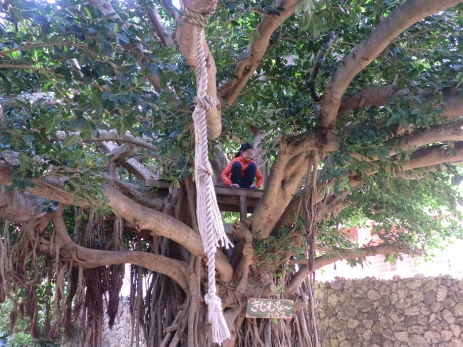 冷ます間にちょっと寄り道。