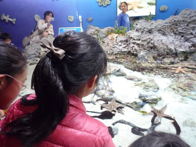 館内へ。ヒトデなどを触れるイノーコーナー