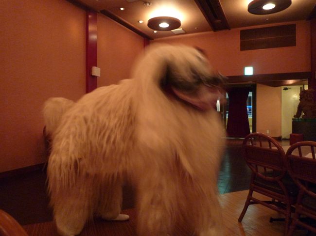 琉球舞踊もお料理も満足できました。<br />ここでも子供は沖縄そば食べてました。<br /><br />