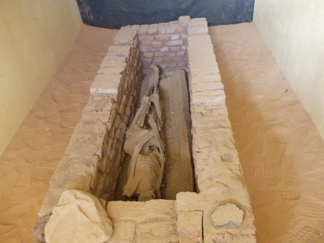 ミイラ。ほんまもん。