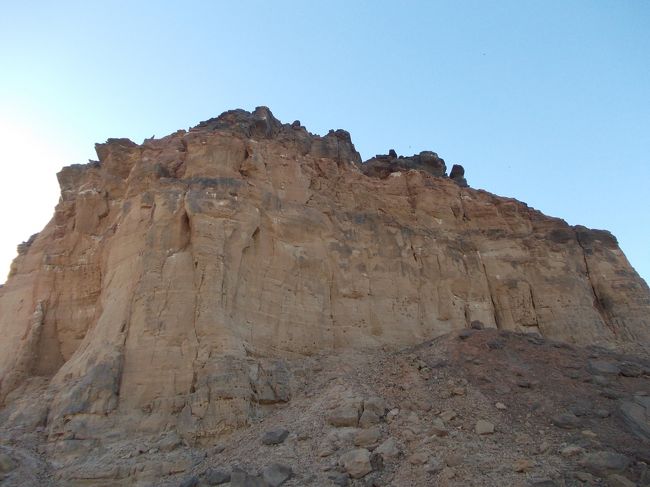 野良犬が７匹も出てきて怖かった…。<br />避けれたけど、狂犬病は打っていくべきだ…な。