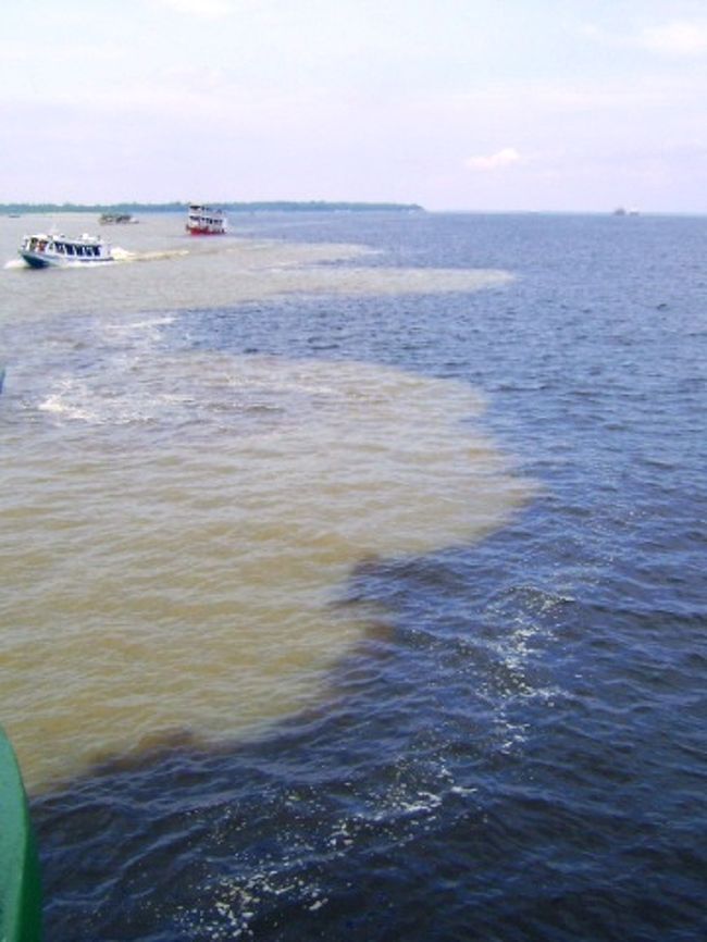 マナウス ブラジル 白と黒の川が合流する都市 その２ アマゾン河の大自然に触れる マナウス ブラジル の旅行記 ブログ By カリオカケイタさん フォートラベル