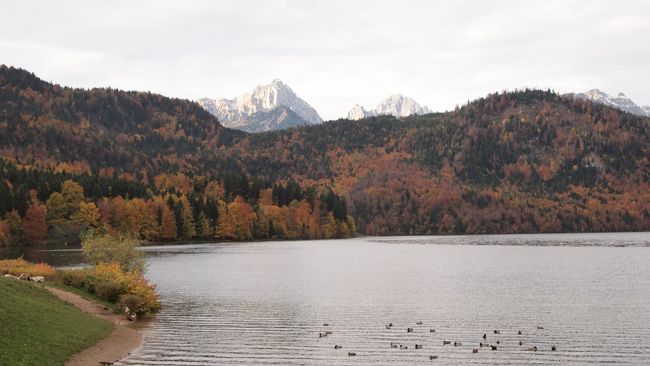 途中のアルプ湖。<br />まだ曇っている時間帯なので写真では分かりませんが、<br />実際は湖畔がエメラルドグリーンに染まっていてとても綺麗。<br /><br />向こうに見える山に朝日が当たっています。