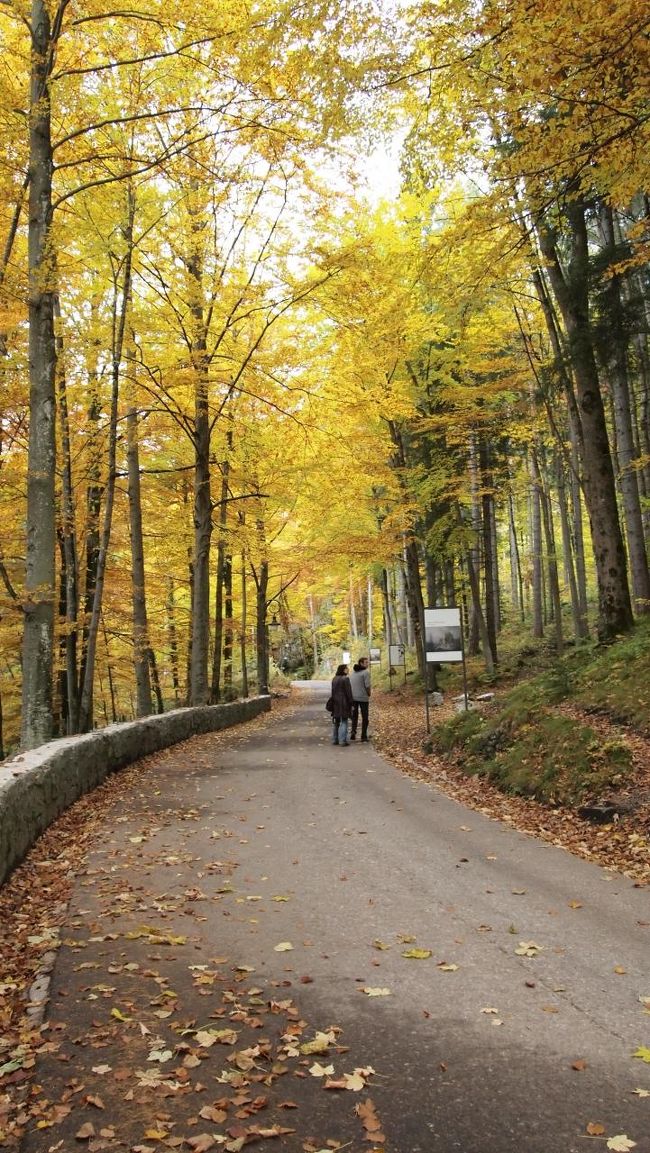 近道の階段を使うルートもありましたが、<br />時間があるなら断然山登りがオススメ！