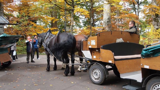 これにてお城を後にします。<br />帰りはあまり並んでいなかったので馬車を使いました。