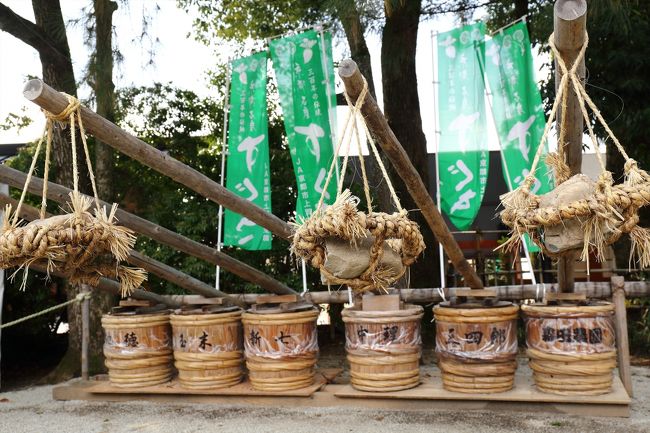 上賀茂名物の「すぐき」。<br />柴漬け，千枚漬けと合わせて京の三大漬物の一つです。<br /><br />酸菜(すぐきな)は，もともと社家の一人が京都御所から種子を貰い受け自分の庭で栽培したものが辺りに広まったという説があります。<br />詳しく知りたい方は京都府漬物協同組合のHPへ。