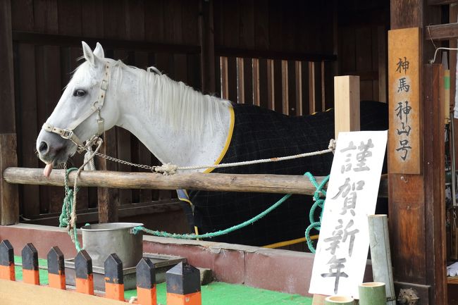 彼(？)の名前は神山号。<br />神山(こうやま)と言うのは，上賀茂神社の北に見える丸い山。<br />御祭神別雷大神が降臨されたところです。