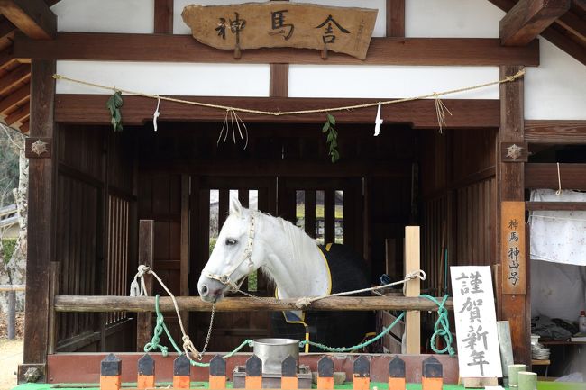 「馬」にちなんだ神社ということですが，ここ上賀茂神社では神馬に会うことができます。<br />いつもいるわけではありませんが，年始は1/5まではいるそうです。<br />(HPによると午前10時頃から午後3時頃まで)