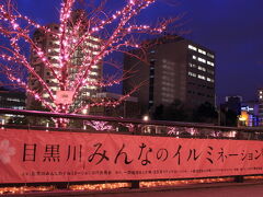 冬の桜をモチーフにした、目黒川みんなのイルミネーション2013。
五反田駅からすぐの五反田ふれあい水辺広場から大崎駅までの目黒川沿いに桜イルミネーションが広がります。