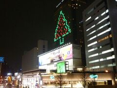 １２月１９日　品川プリンスホテル　「SHINAGAWA Welcome Tree」

タワー壁面に高さ74メートル、幅54メートルのツリー。LED電球約4万3500球を使う。

