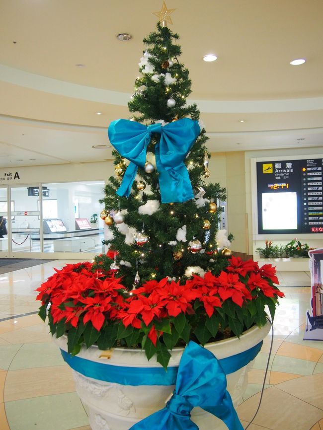 昼前に函館空港に到着。<br />まず、空港のクリスマスツリーとご対面です。<br />シンプルだけど、かわいいですね。