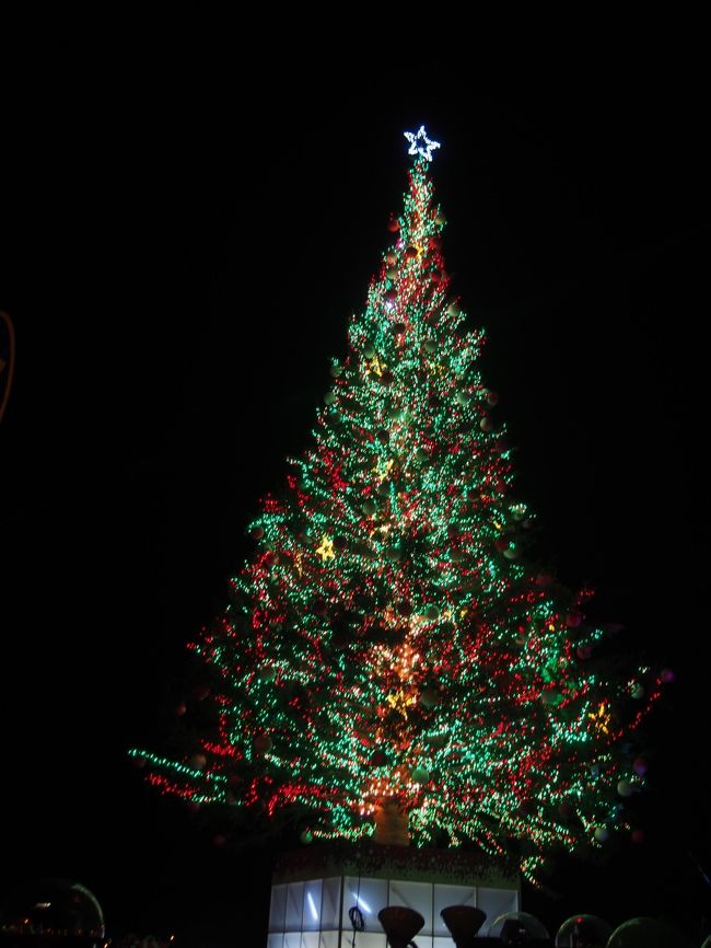 函館と姉妹都市である、カナダノハリファックスから<br />送られたクリスマスツリーが<br />函館クリスマスイルミネーションの目玉。<br />海の上に設置されてます。