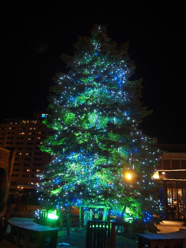 赤レンガ倉庫内のレストランの前に設置されたクリスマスツリー。<br />青と緑だけってあんまり見ないから、新鮮！