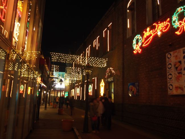 赤レンガ倉庫からラビスタ函館ホテルの横にある、レストラン街に抜ける道でのイルミネーション。<br />日本じゃないみたい・・・