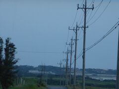 沢山の電柱

台風で倒されても大丈夫なように
電柱は２重に立ててるんだそうです