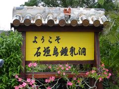 さぁ腹ごなしに鍾乳洞へ

鍾乳洞って普通肌寒いもんだけど、
ここは蒸し暑いんだって薄着で行こう♪