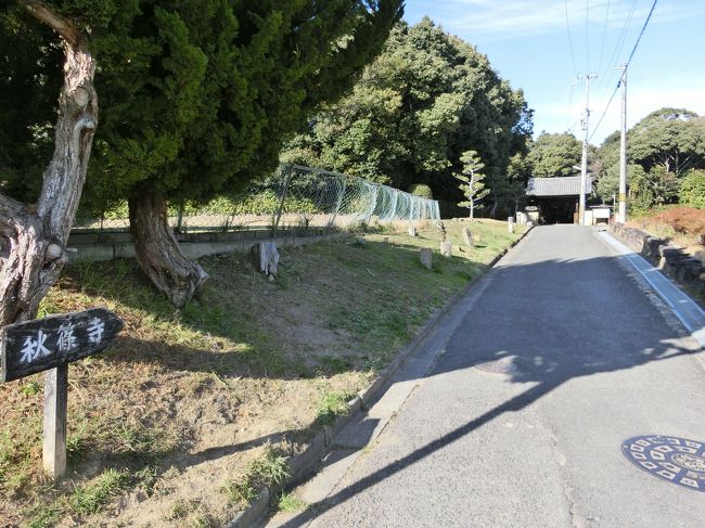 歩いてゆきます。