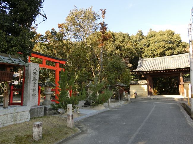 手前に鳥居が見えたので、