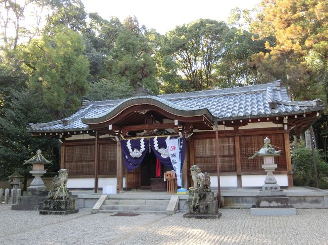 先にこちらの神社にお参り。