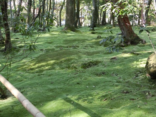 しばしどっぷり。