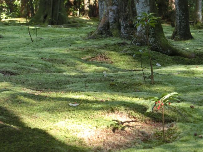 これまたいい感じ。