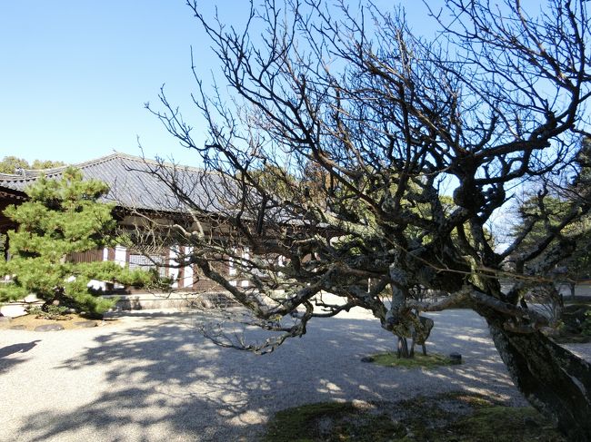 中に入りましょうか。