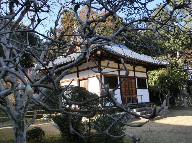 目に入ったアングルで