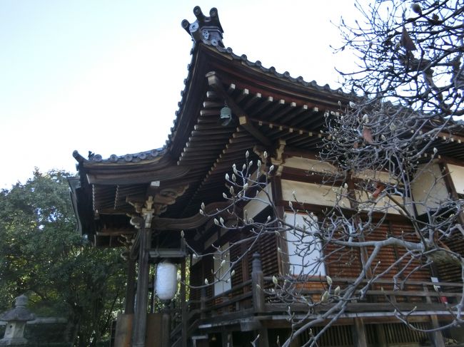 あっちゃこっちゃ