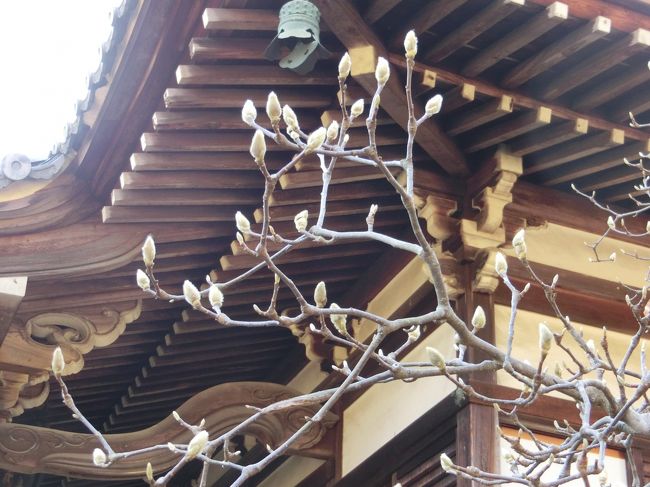 バシャバシャと。