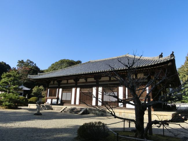 青空が良く似合う本堂を後にし、