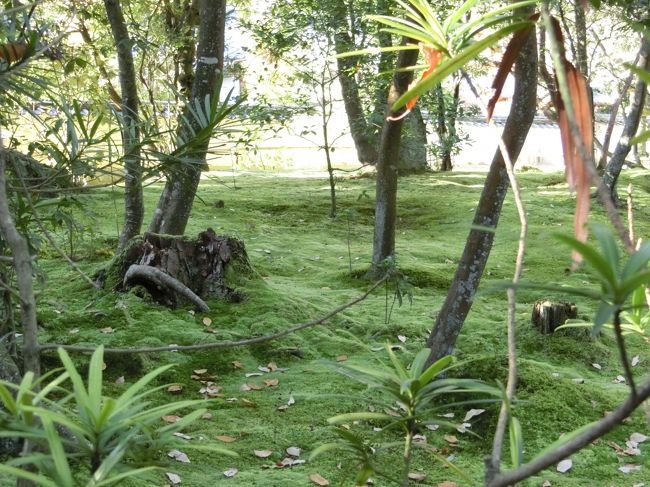 さっき撮ったところでも、