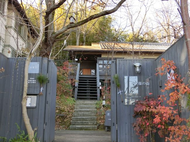 素敵な入口から入ってみます。