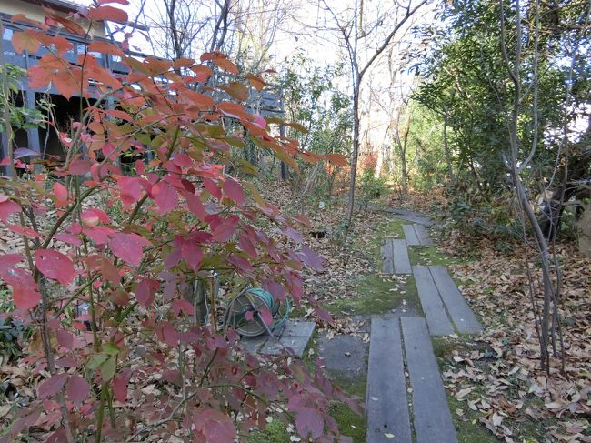 予約なしの客は、