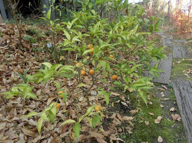 向こうの建物へと言われ。