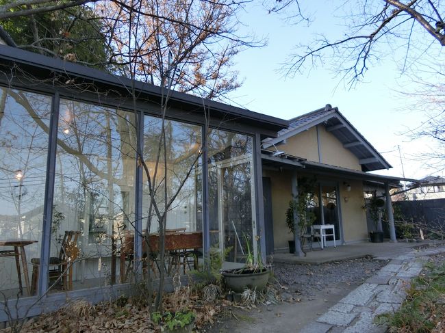 やってきました。